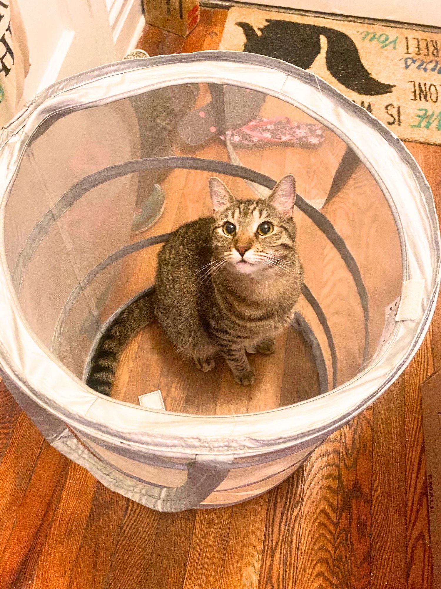 Cowboy Boots - Photo 6