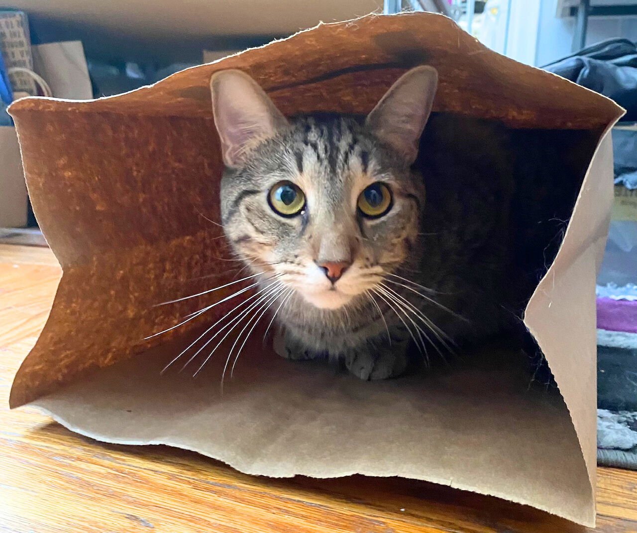 Cowboy Boots - Photo 7