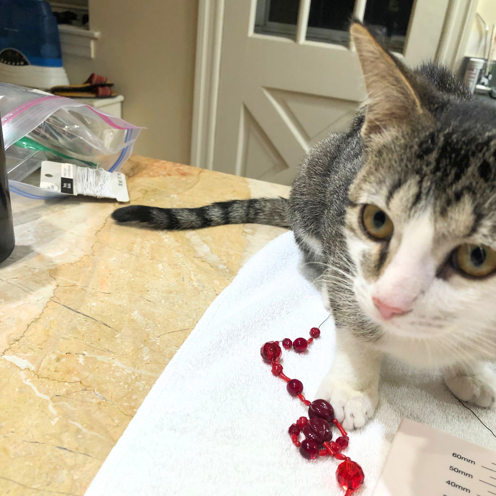 Polar Vortex - Photo 3