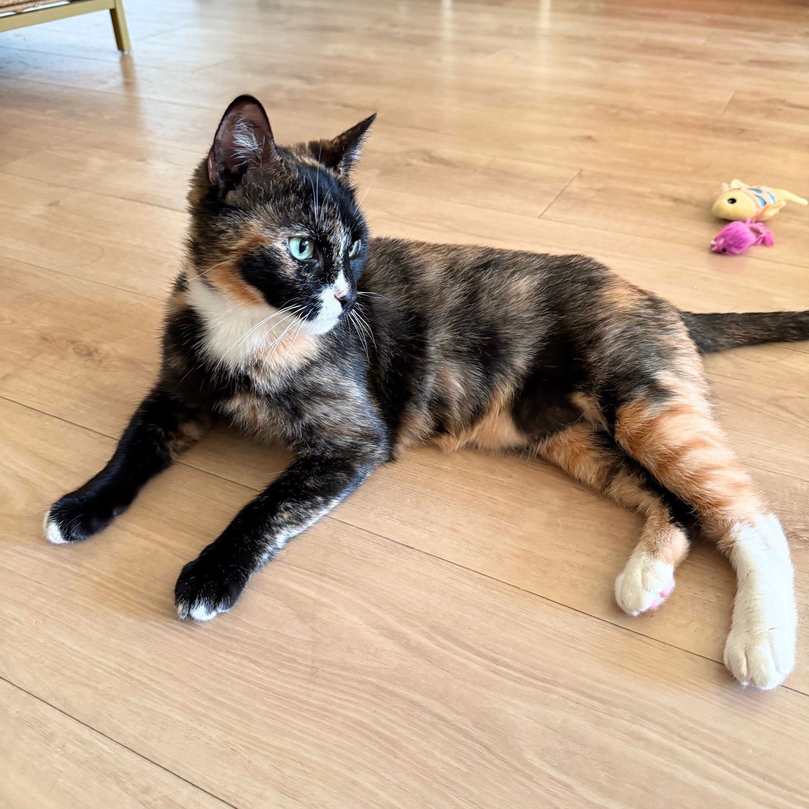 Mary Louise Parker - Photo 3