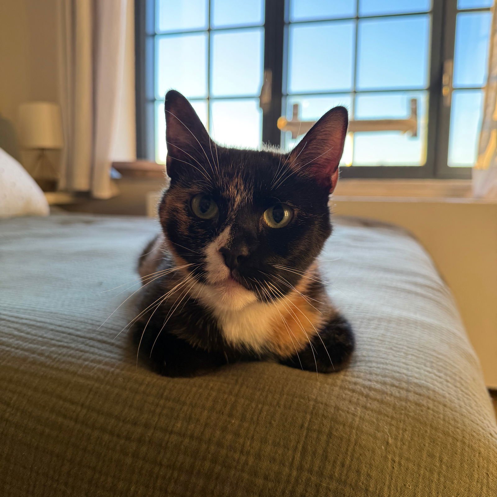 Mary Louise Parker - Photo 4