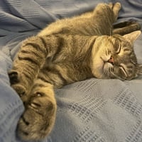 Meep - Photo 7