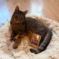Spock - Photo 2
