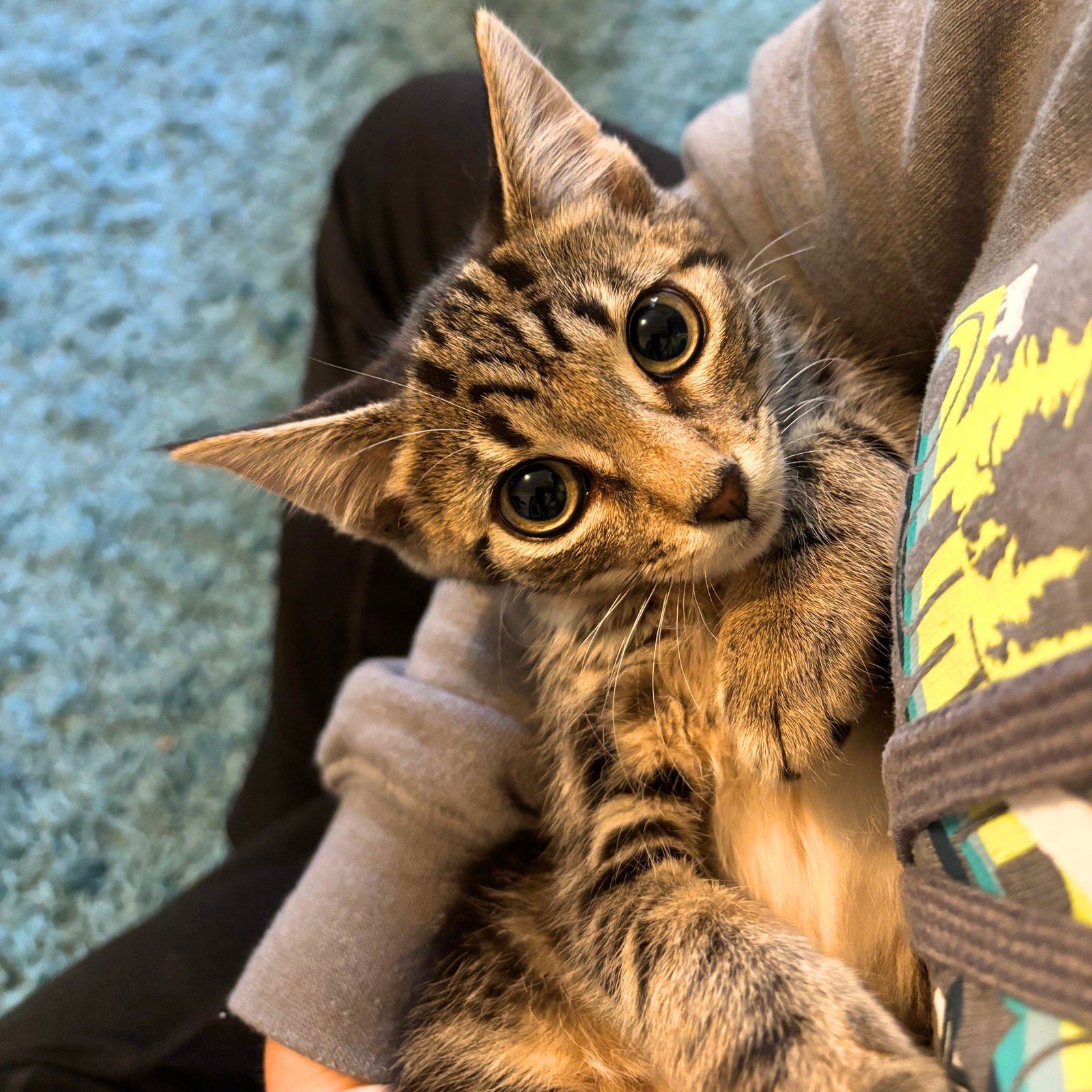 Solo & Scorpius - Photo 3