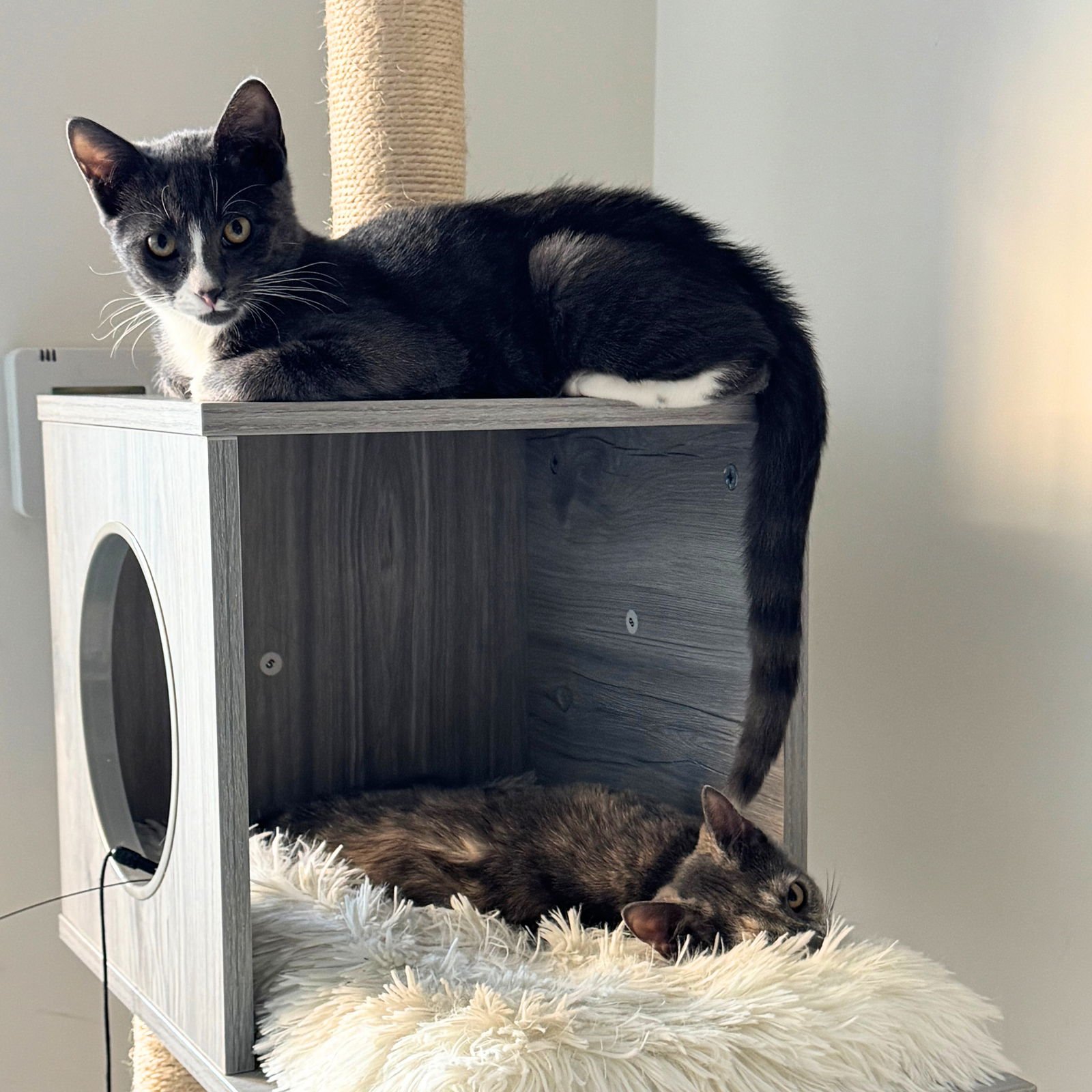 Biscuit & Tempest - Photo 4