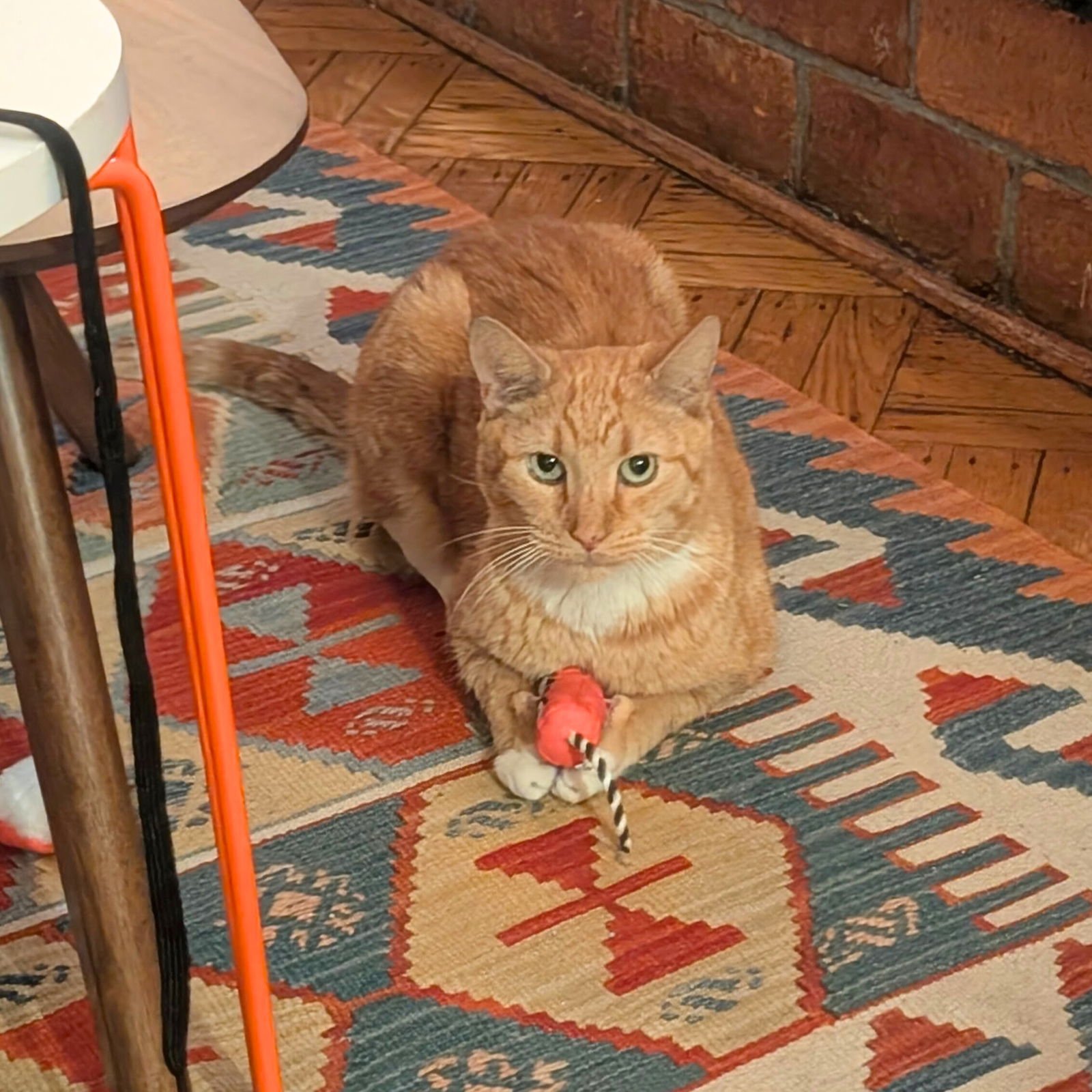 Cry Me a River - Photo 3