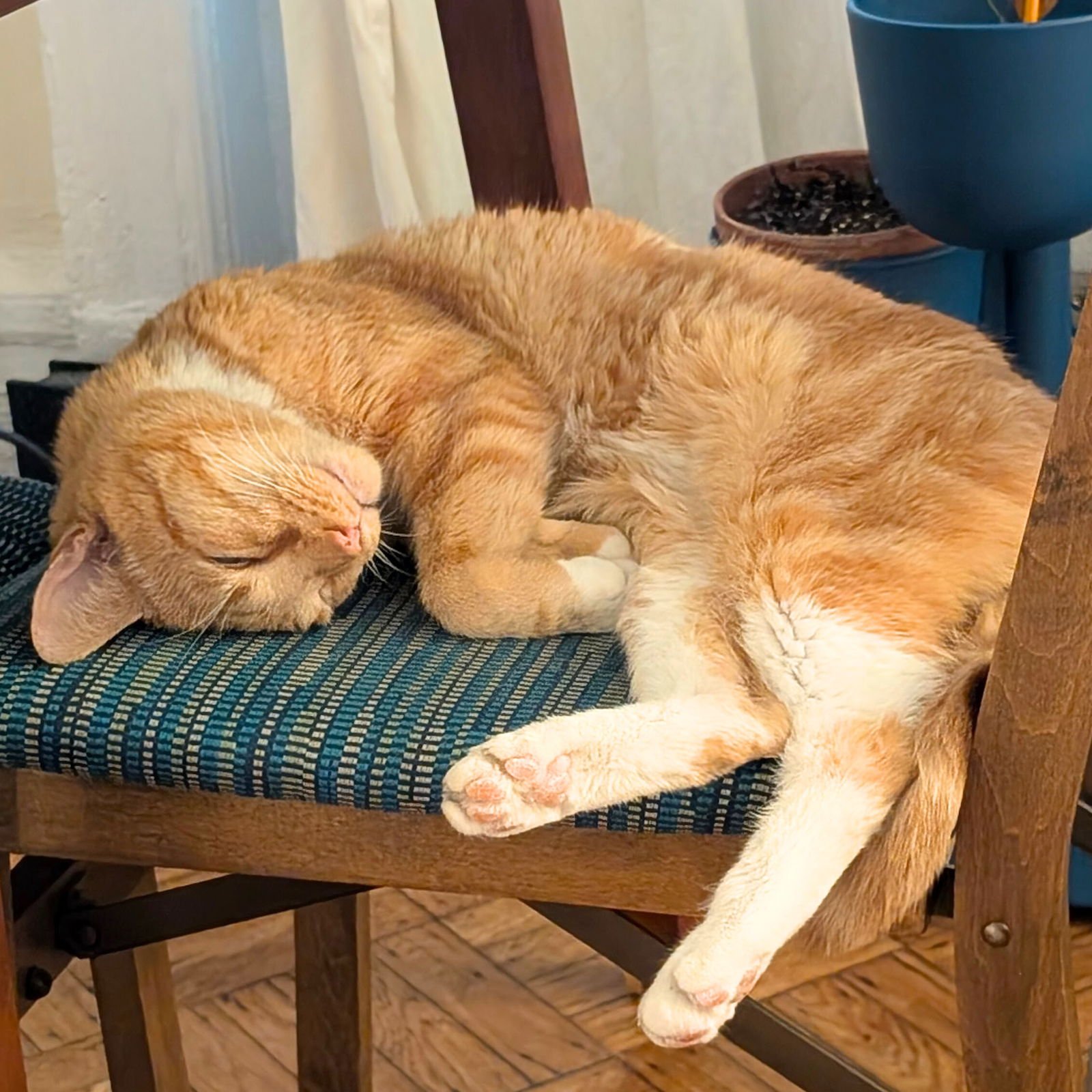 Cry Me a River - Photo 5