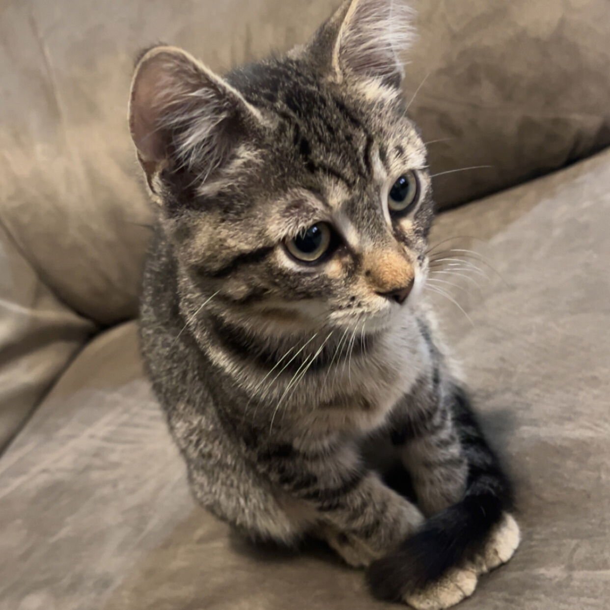 Jet2 & Vueling - Photo 4