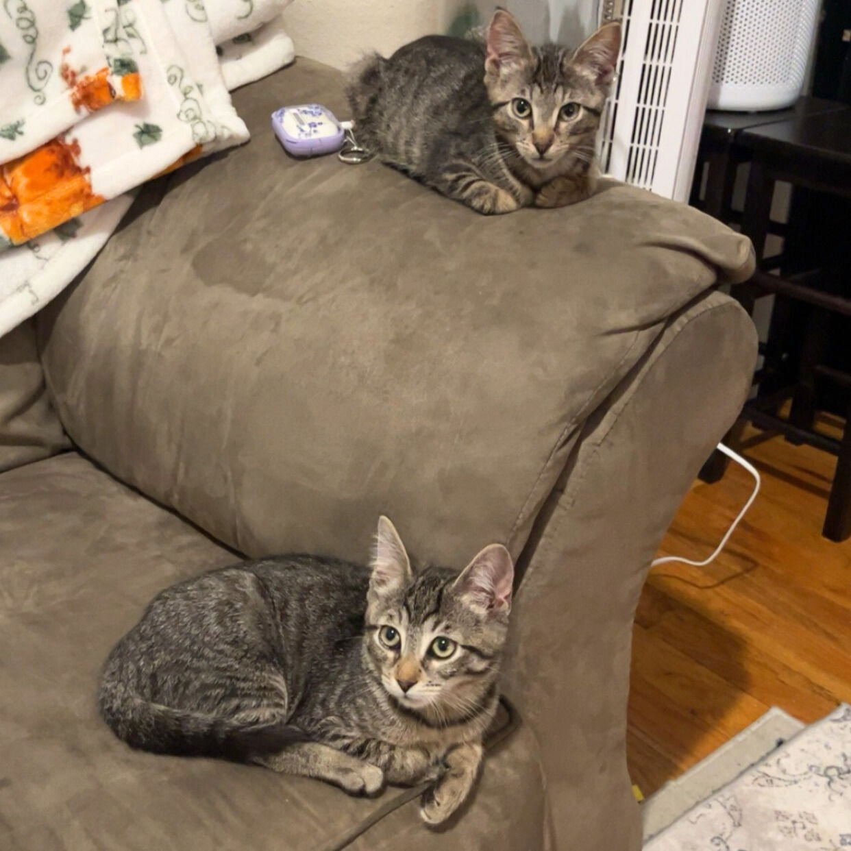 Jet2 & Vueling - Photo 5