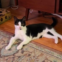 Herby - Photo 4