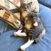 Bernie - Photo 1