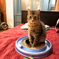 Sir Isaac Mewton - Photo 3