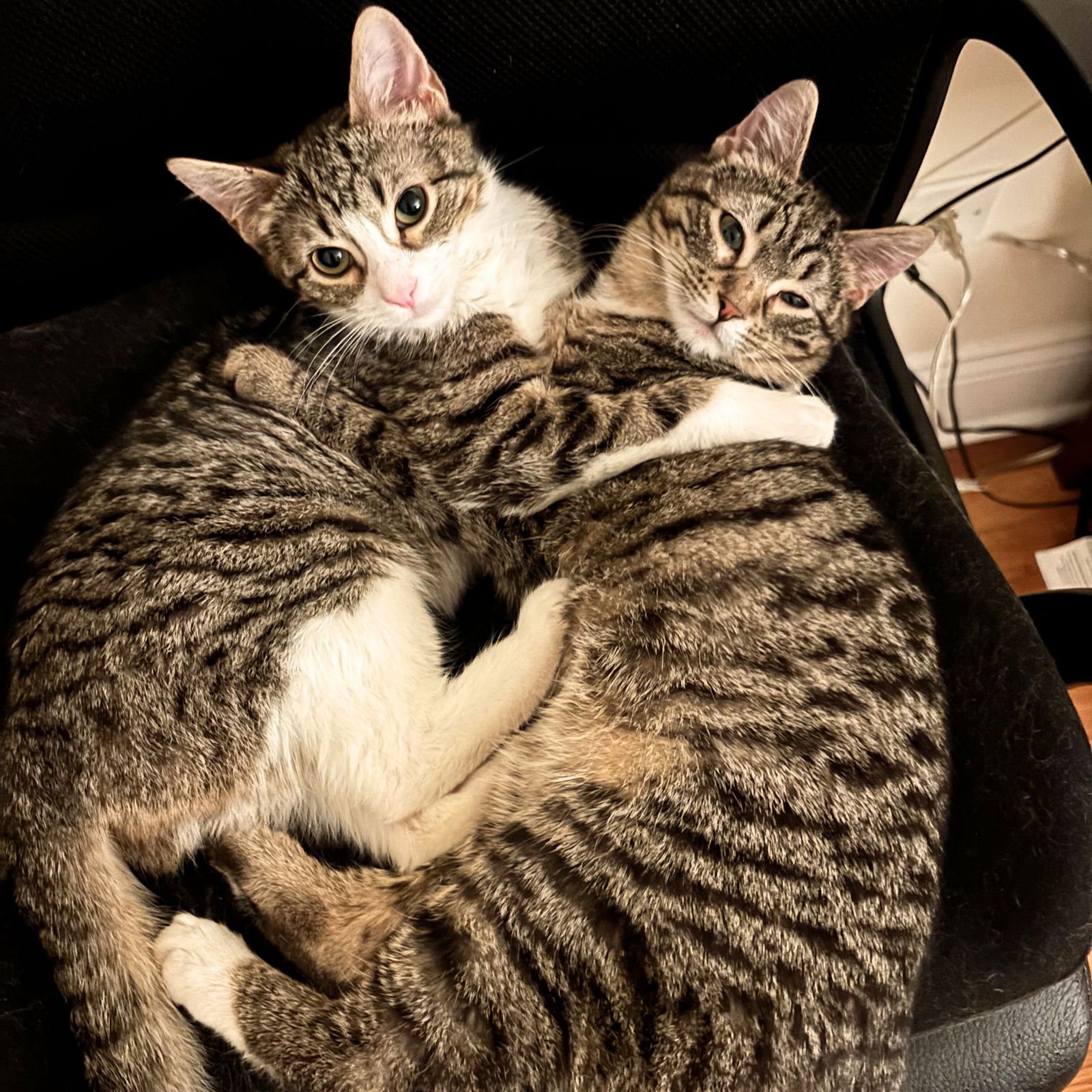 Patricia & Roseanna Arcat - Photo 4