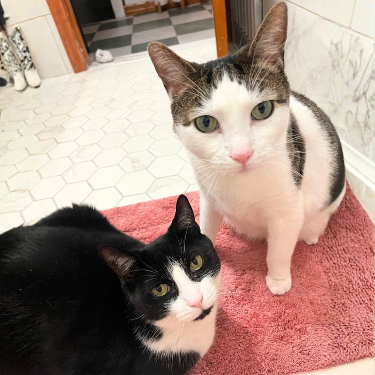 Biff & Willy Image