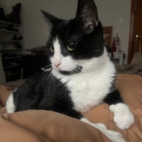 Biff & Willy - Photo 2