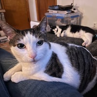 Biff & Willy - Photo 5