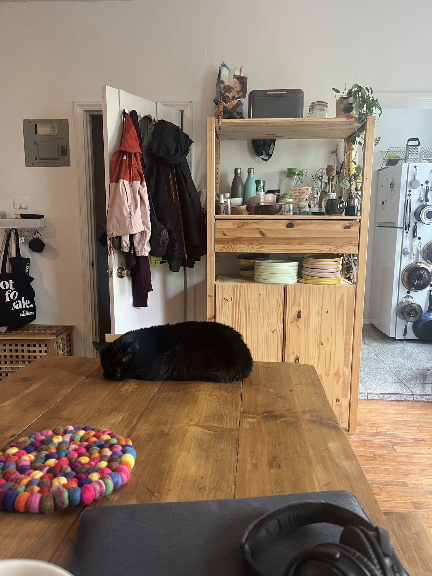 A pair called Mr. Whiskers & Talulla - Photo 4