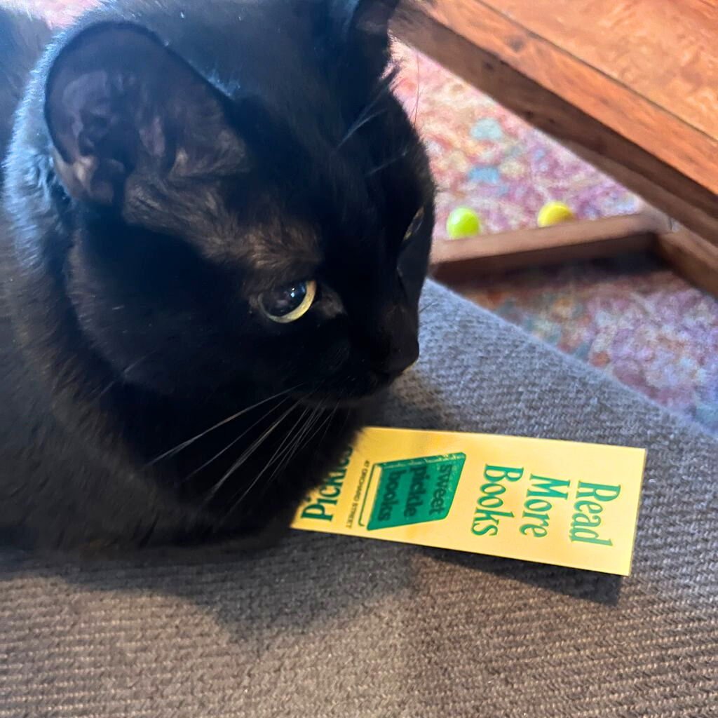 A pair called Mr. Whiskers & Talulla - Photo 6