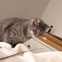 Wishy Washy - Photo 4