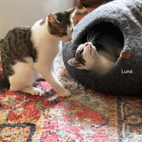 Josie & Luna - Photo 7