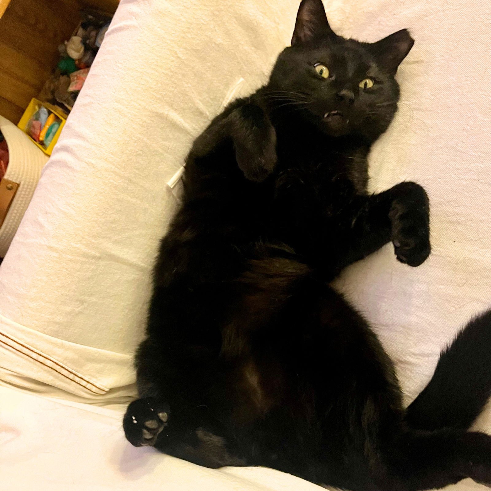 Mister Mom - Photo 3