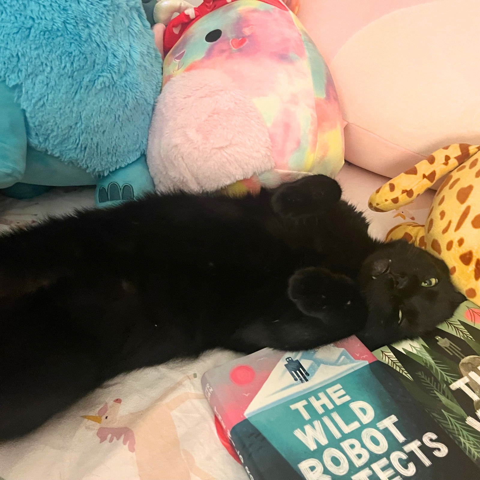 Mister Mom - Photo 4