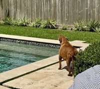 Quinn - Photo 5