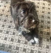 MacKenzie - Photo 8