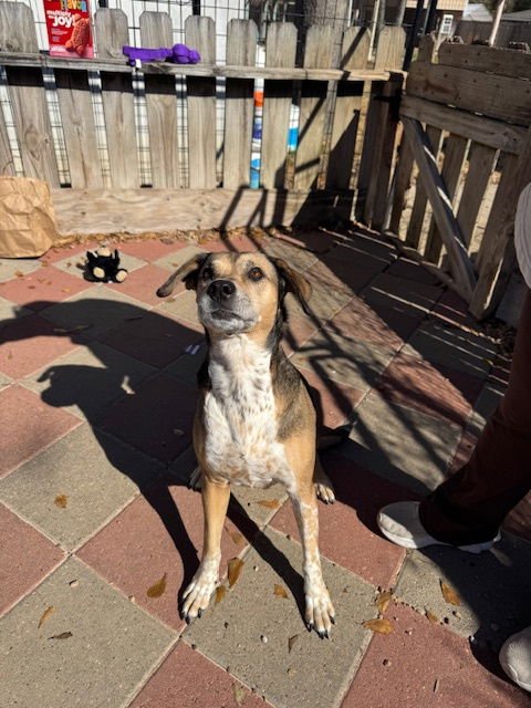Rylee - Photo 2