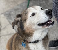 Patch - Photo 8