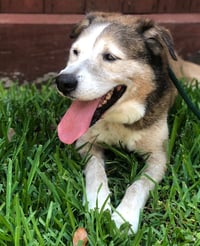 Patch - Photo 9