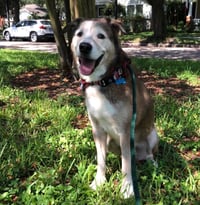 Patch - Photo 13