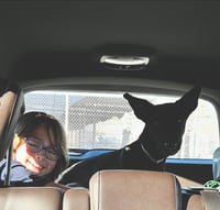 Forty - Photo 16
