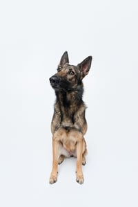 Mila - Photo 9