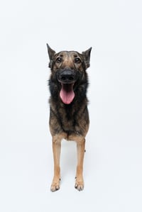 Mila - Photo 3