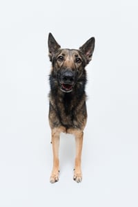 Mila - Photo 2