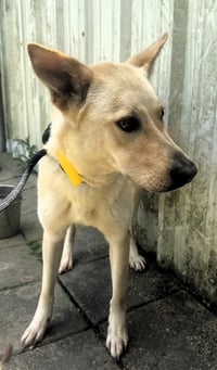 Bella - Photo 3