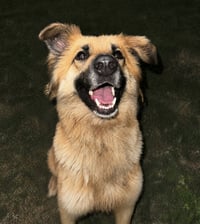 Daphne - Photo 8