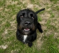 Fletch - Photo 2