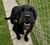Fletch - Photo 3