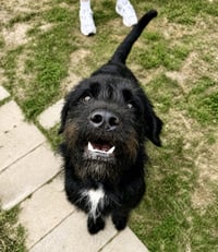 Fletch - Photo 4