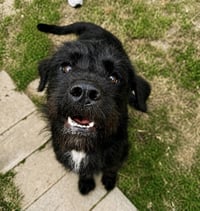 Fletch - Photo 1