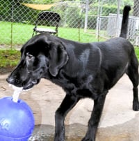 Elsie - Photo 7