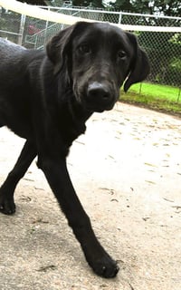 Elsie - Photo 8