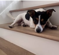 Crouton - Photo 8