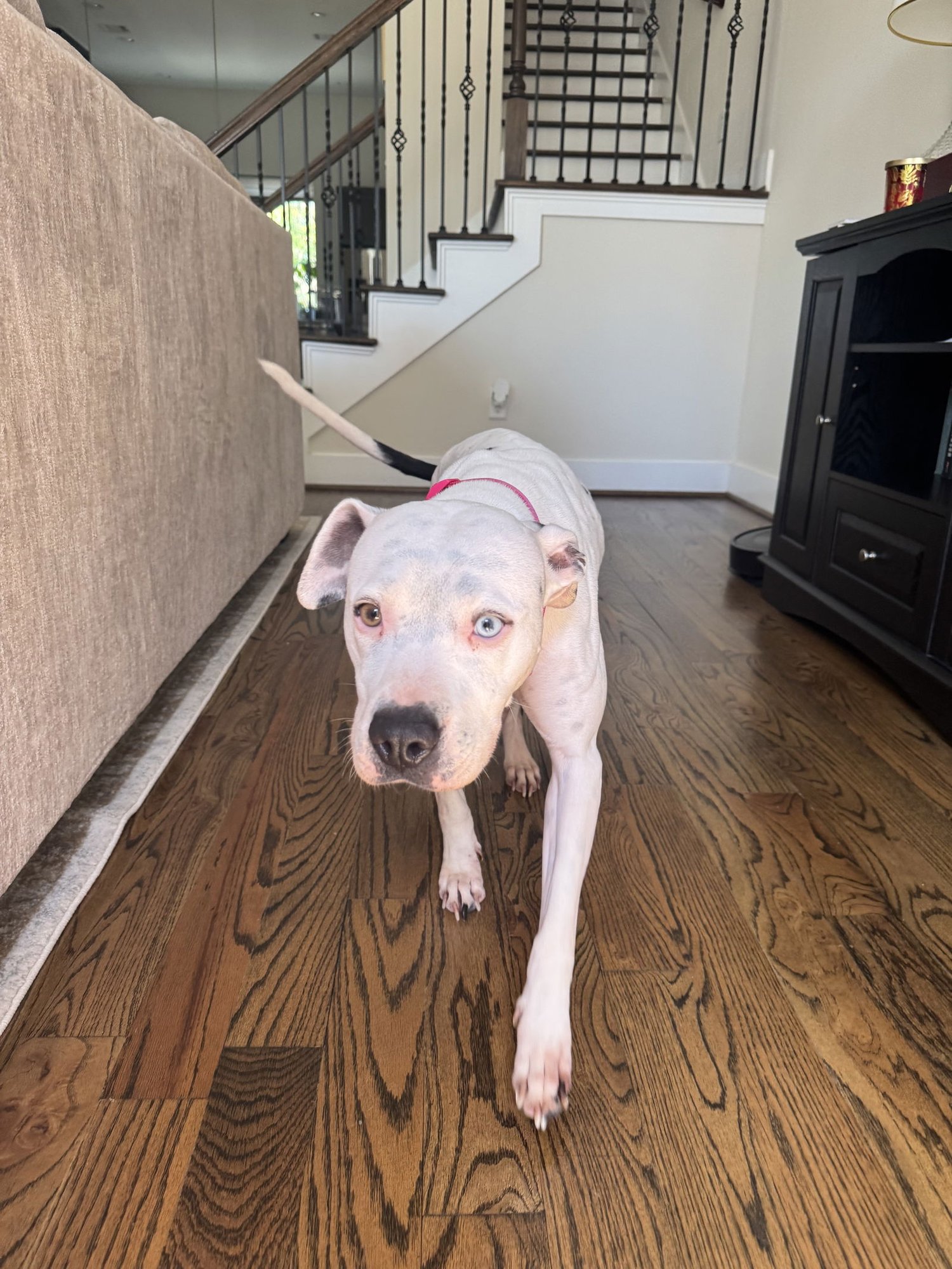 Lulu - Photo 8