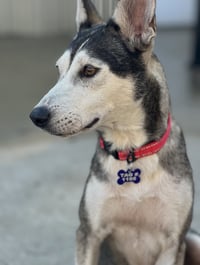 Hattie - Photo 3