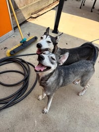Hattie - Photo 7
