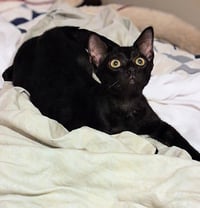 Cecil & Ernest - Photo 1