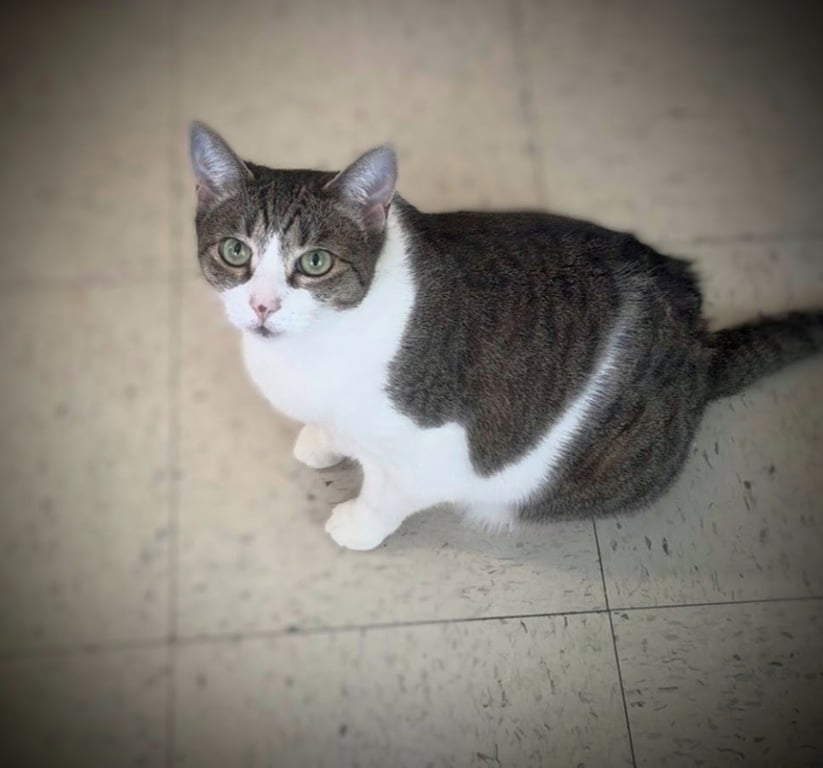 Ms. Sasha & Mr. T - EXTREMELY URGENT!!! Image